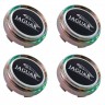Заглушка ступицы Jaguar 66/62/9 хром черный 