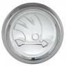 Заглушка на диски Skoda 74/70/9 хром