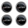 Заглушка на диски IJITSU 74/70/9 